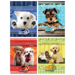 CADERNO PET CLUB 1/4 CAPA DURA  96 FOLHAS