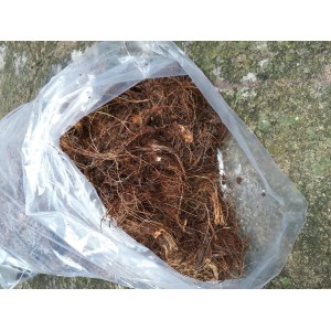 PO DE COCO SUBSTRATO 350GR