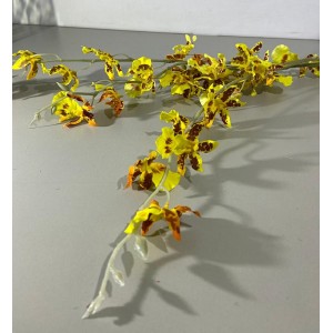 GALHO DE ORQUIDEA X3 CORES SORTIDAS